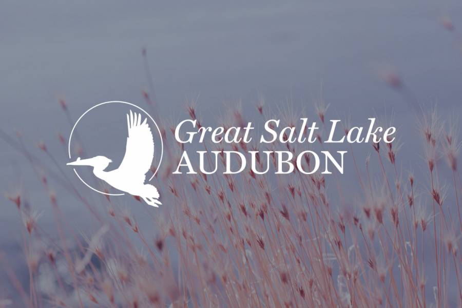 Great Salt Lake Audubon