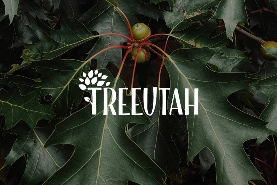 TreeUtah